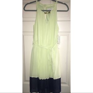 Lime Green and Navy Blue Dress